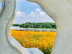 -海珠湖公园