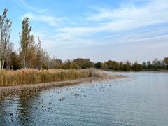 -野鸭湖国家湿地公园