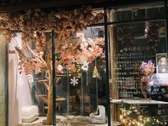 -喵屿·大理花园猫咖