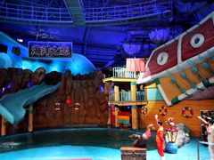 -烟台海昌鲸鲨海洋公园