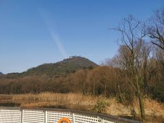 -西湖风景区-江洋畈生态公园