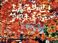 -香山公园