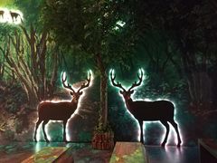 -爱来魔相4D艺术馆(济州中文馆)