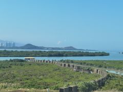 -福田红树林生态公园