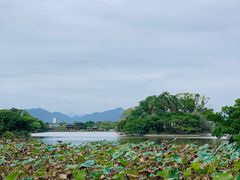 -江心屿景区