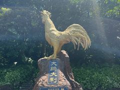 -海口火山口国家地质公园
