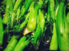 生炒连州菜心-粤·向群饭店(龙津东路总店)