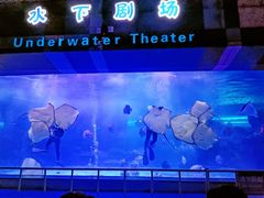 -泉城欧乐堡海洋极地世界