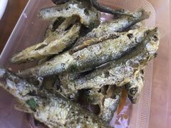 -全乐鱼馆·淳牌有机鱼直营店