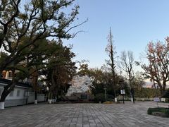 -江心屿景区