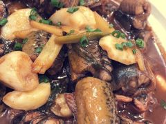 -盐通酒家(金桥湾清水苑店)