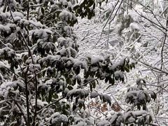 -敬亭山风景名胜区