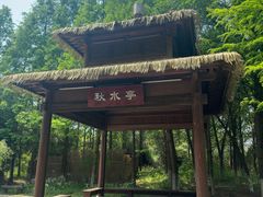 -苏州太湖国家湿地公园