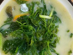 上汤桑叶-喜上喜鸡煲翅(吉大店)