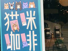 -飞行喵MR PILOT|猫舍·猫咖(静安大融城店)