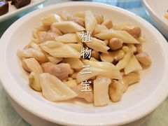 -新聚丰菜馆(太监弄店)