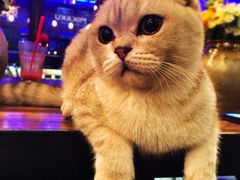 iphone_upload_pic-MIKAKU(万达广场上海宝山店)