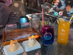 -柴犬高等学院·狗咖·柴犬售卖·宠物训练