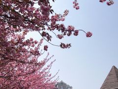 -唐城墙遗址公园