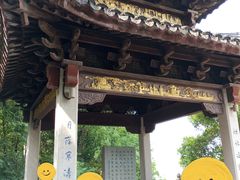-长广溪湿地公园
