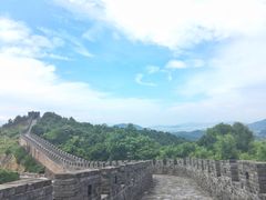 -黄贤森林公园