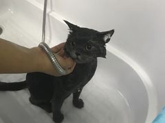 -宠颐生中康贝怡动物医院
