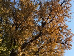 -香山公园-东宫门售票处