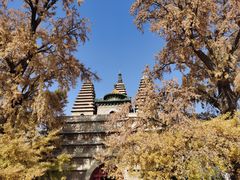 -北京石刻艺术博物馆(五塔寺)