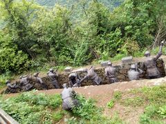 -娄山关景区
