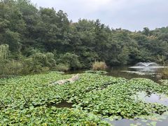 -天目湖山水园