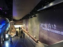 -长江文明馆