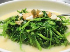 上汤豆苗-玖味(老工人西路店)