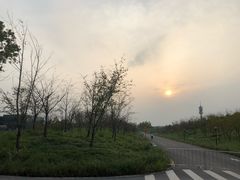 -上海国际音乐村