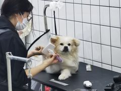 -BABIT巴比特宠物(MOMOPARK店)