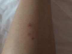 -猫咪博物馆(顶澳仔猫街店)