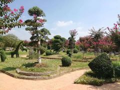 -武汉紫薇都市田园