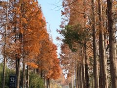 -百翠山居.家飨餐厅
