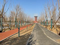 -永定河休闲森林公园