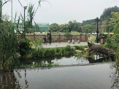 -万景饭店·鱼街农家菜