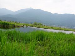 -腾冲北海湿地