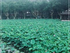 -北山街历史文化街区