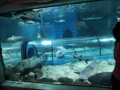 -福州罗源湾海洋世界旅游区