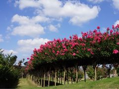 -南通洲际绿博园