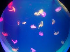 -广州海洋馆