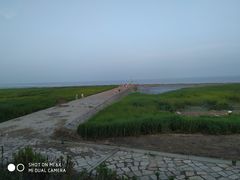 -南汇嘴观海公园