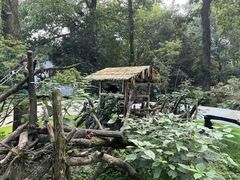 -杭州少年儿童公园