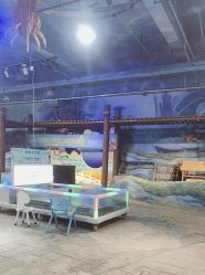 -酷嗒动物文化乐园(cutezoo西溪乐天城店)