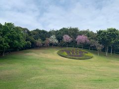 -广州市白云山风景名胜区