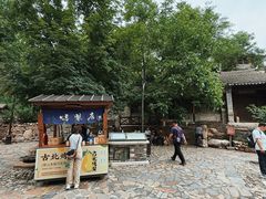 -古北烤梨