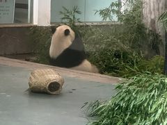 -安吉竹博园